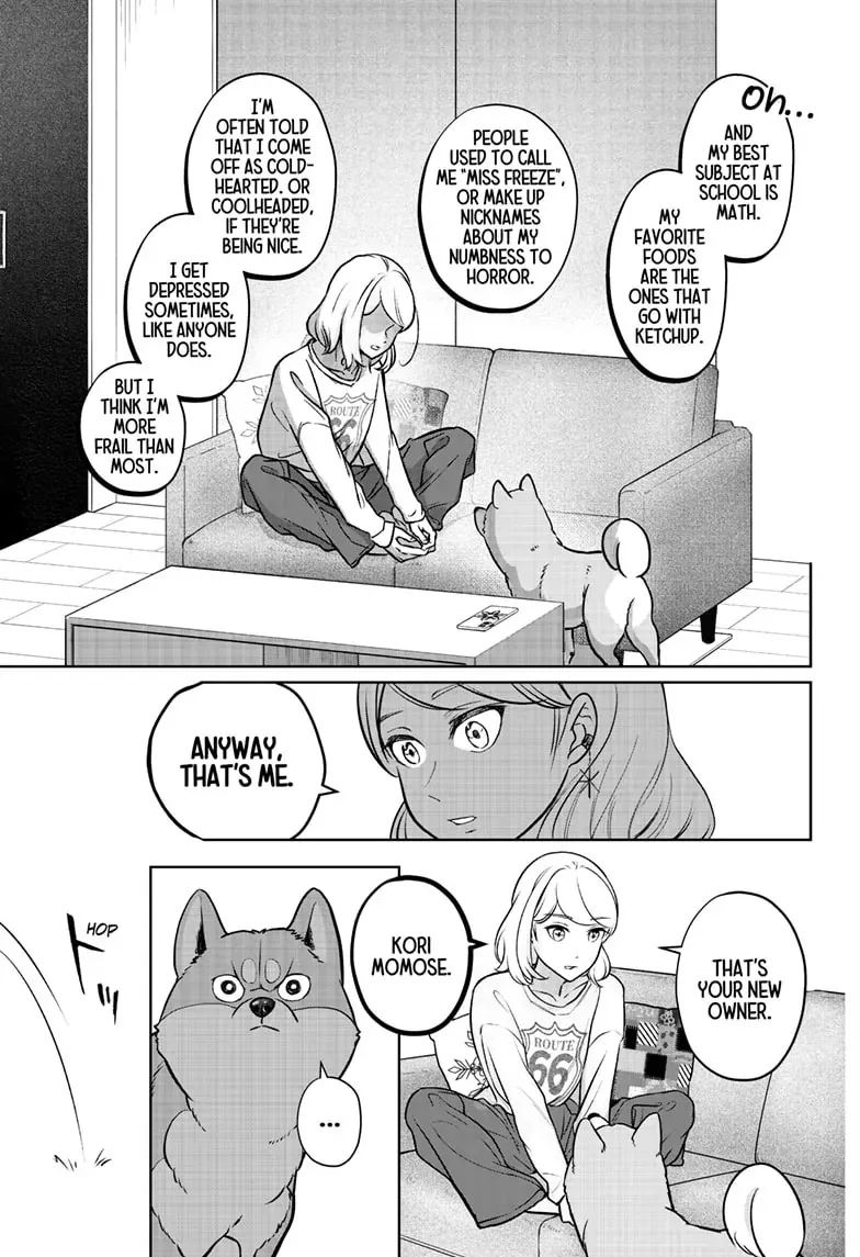Shiba Inu Rooms Chapter 3 page 32 - 