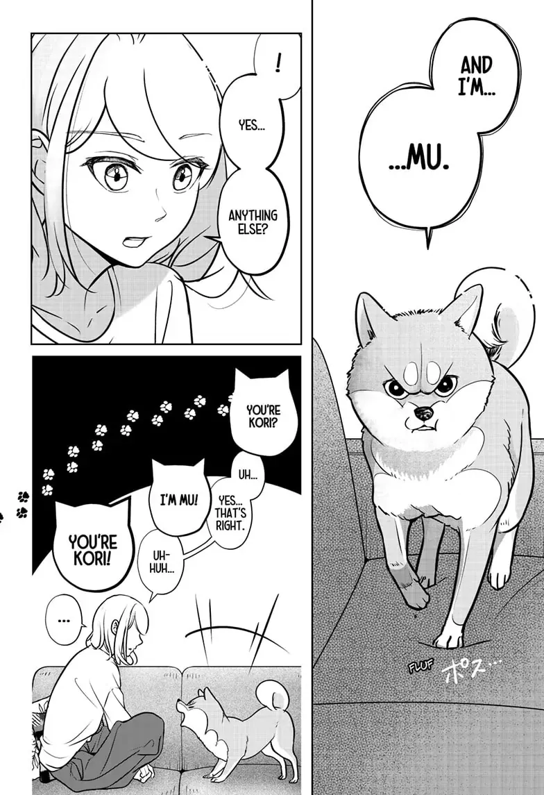 Shiba Inu Rooms Chapter 3 page 33 - 