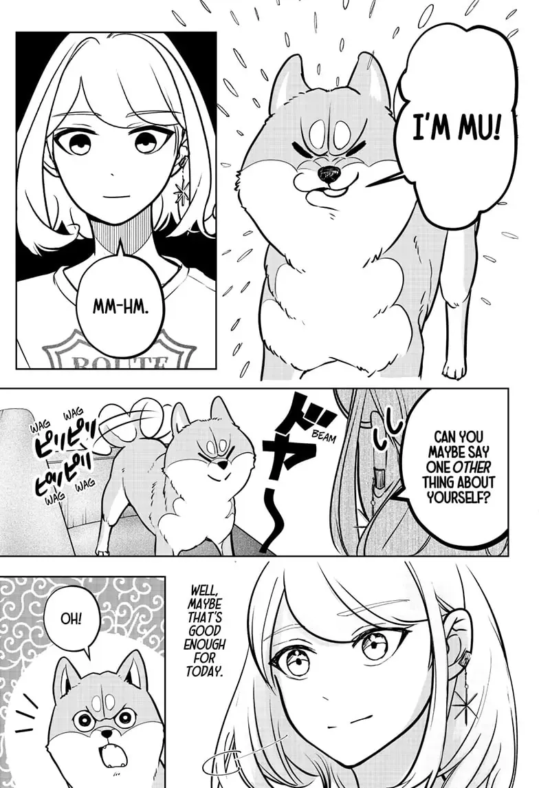 Shiba Inu Rooms Chapter 3 page 34 - 