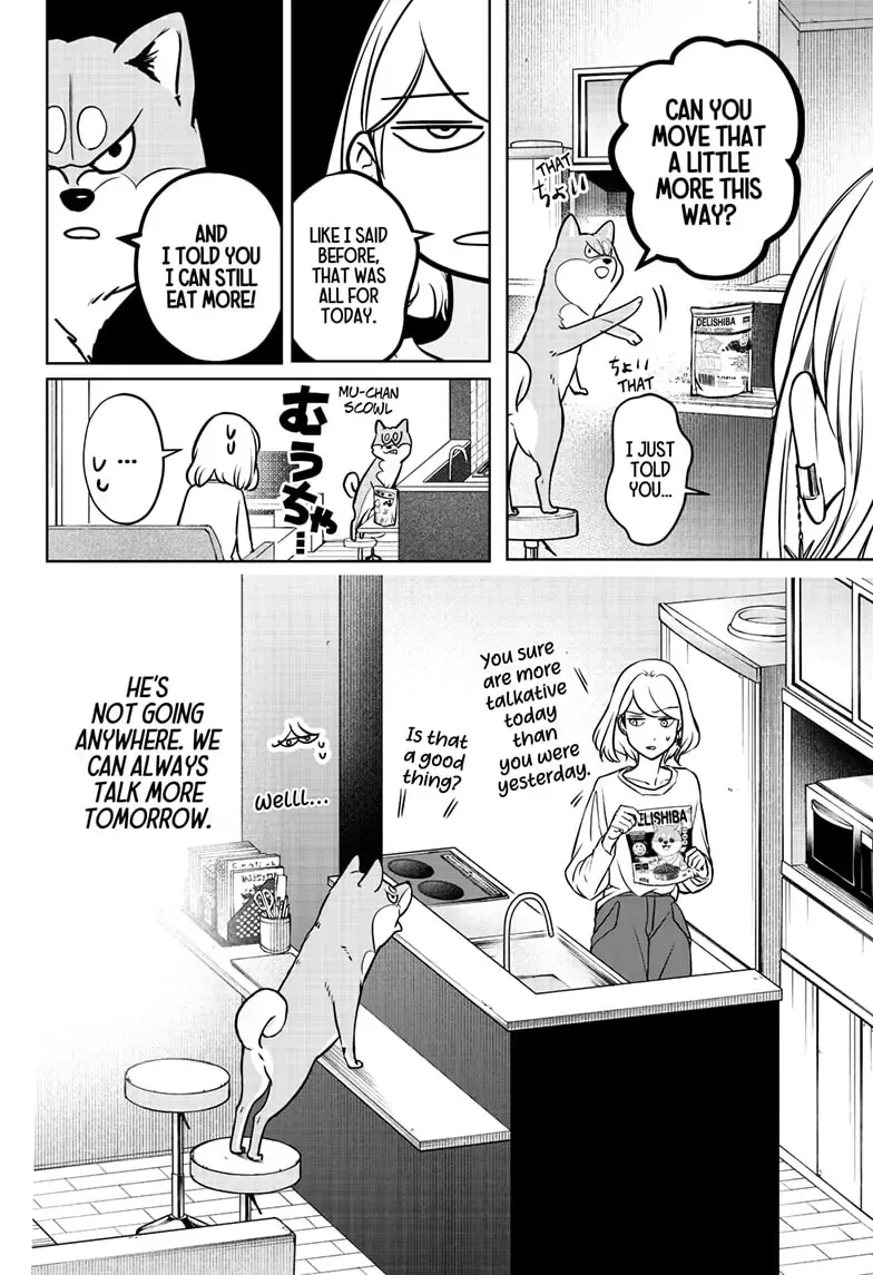 Shiba Inu Rooms Chapter 3 page 35 - 