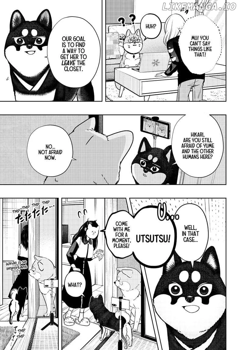 Shiba Inu Rooms Chapter 30 page 14 - 