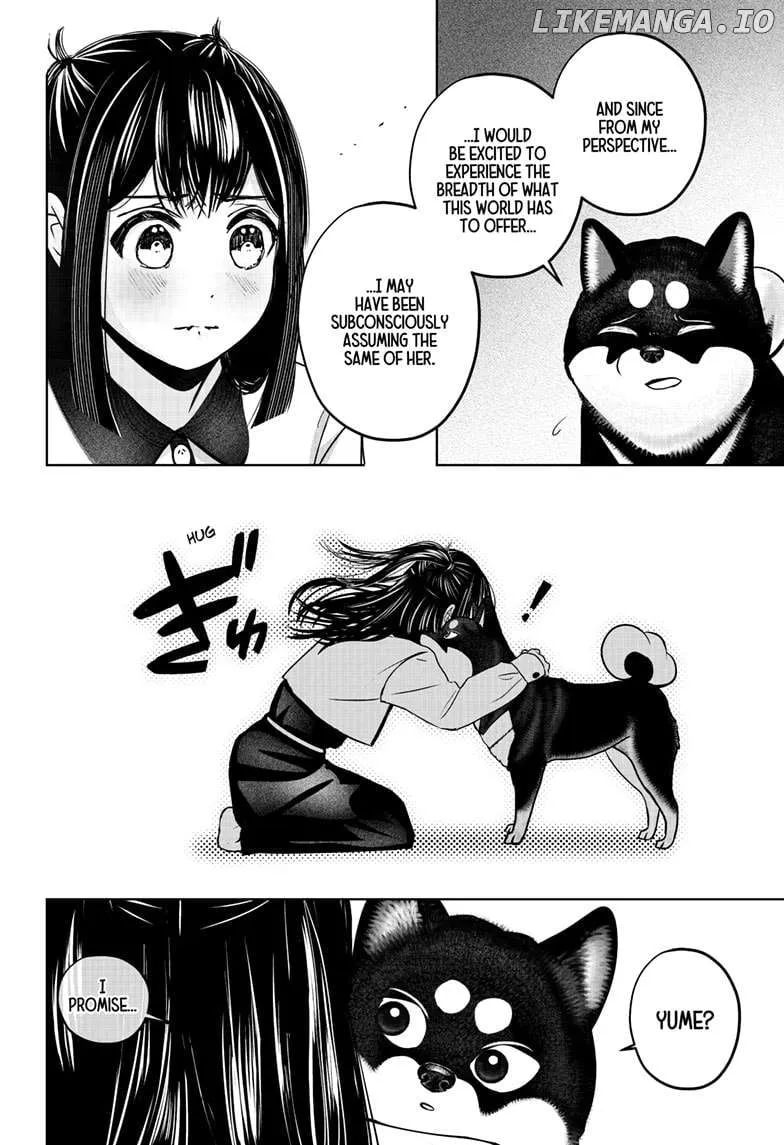 Shiba Inu Rooms Chapter 30 page 21 - 