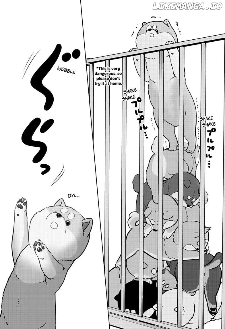 Shiba Inu Rooms Chapter 32 page 11 - 