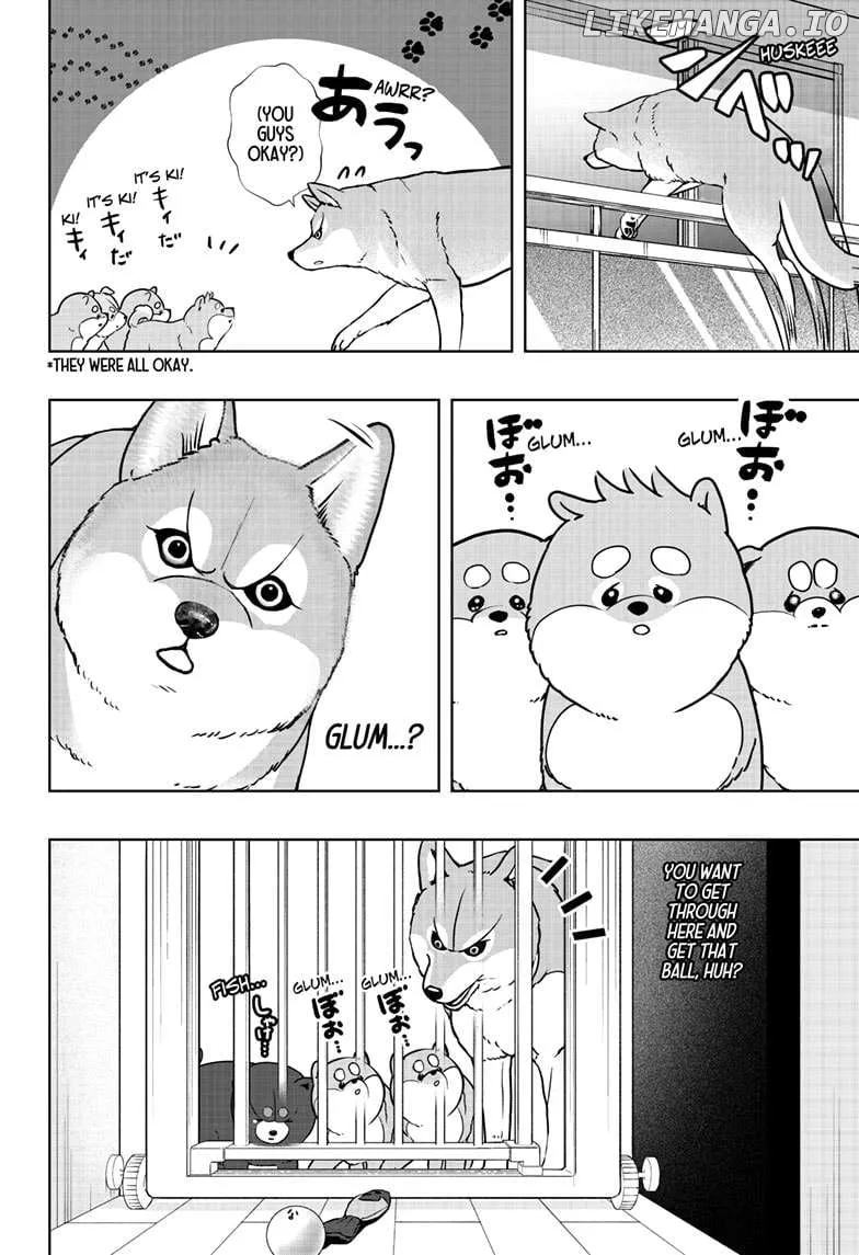Shiba Inu Rooms Chapter 32 page 13 - 