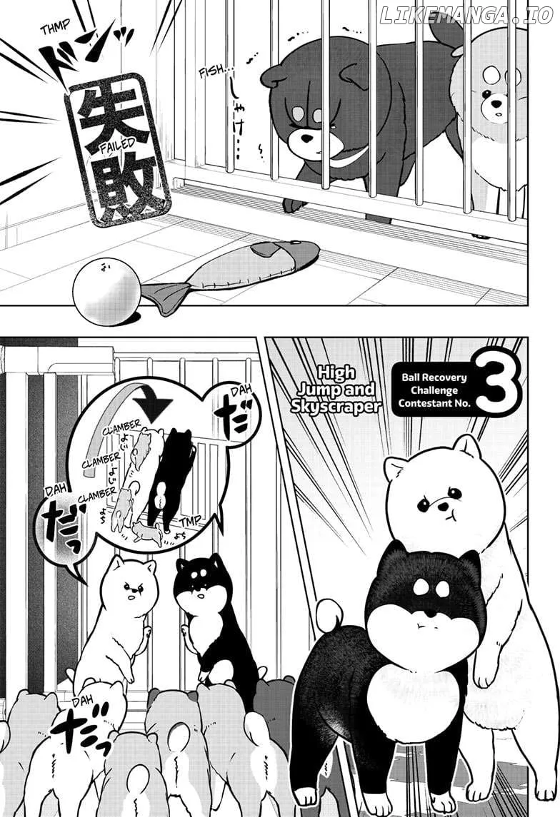 Shiba Inu Rooms Chapter 32 page 10 - 