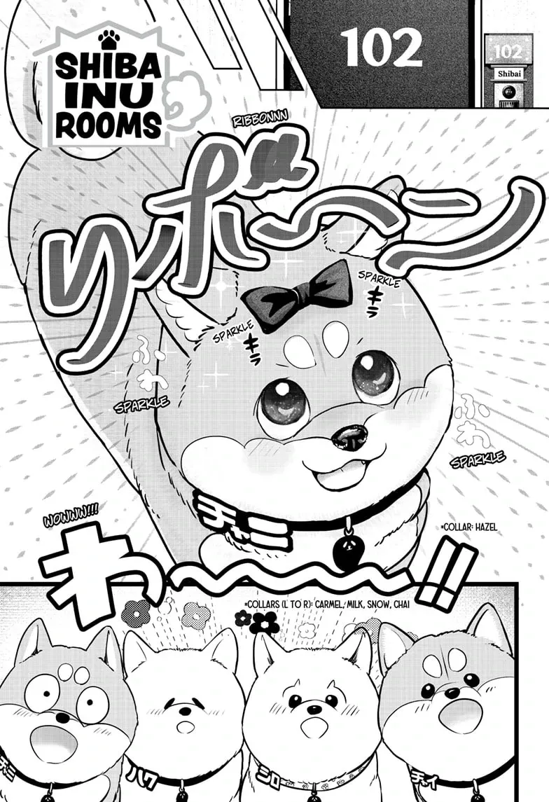 Shiba Inu Rooms Chapter 33 page 1 - 