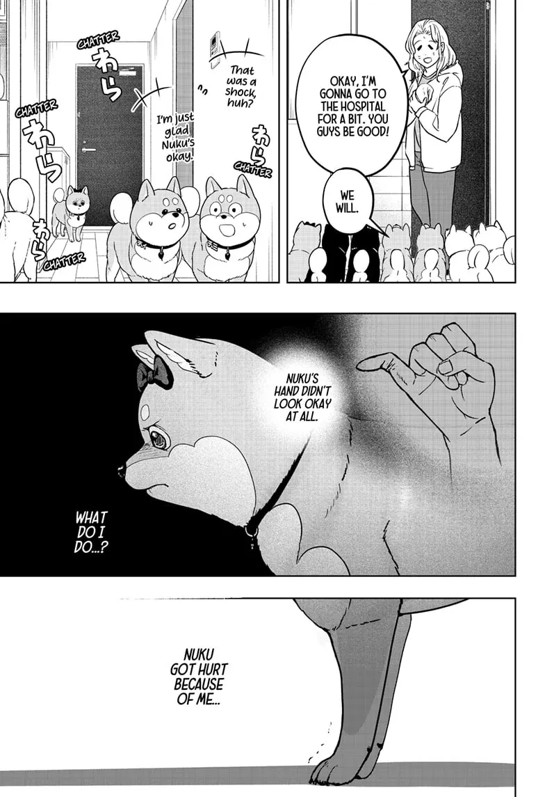 Shiba Inu Rooms Chapter 33 page 13 - 