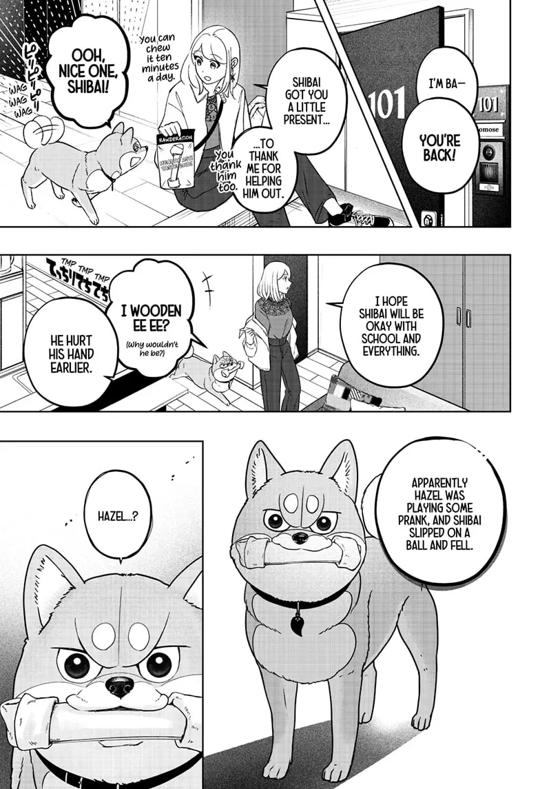 Shiba Inu Rooms Chapter 33 page 15 - 