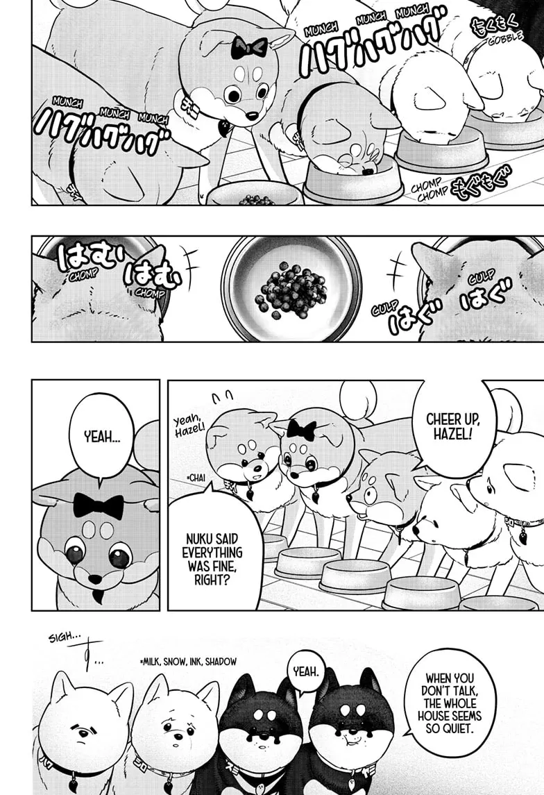 Shiba Inu Rooms Chapter 33 page 16 - 