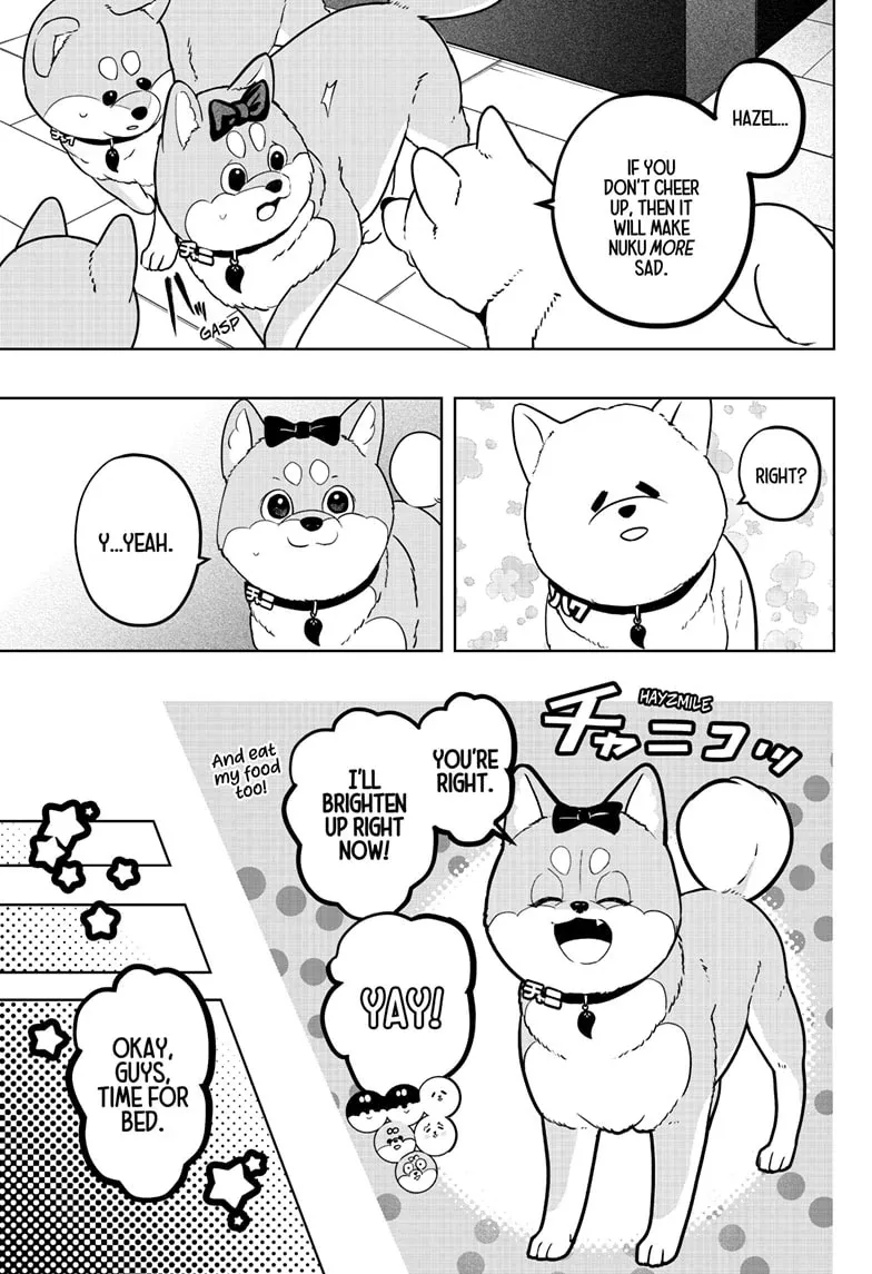 Shiba Inu Rooms Chapter 33 page 17 - 