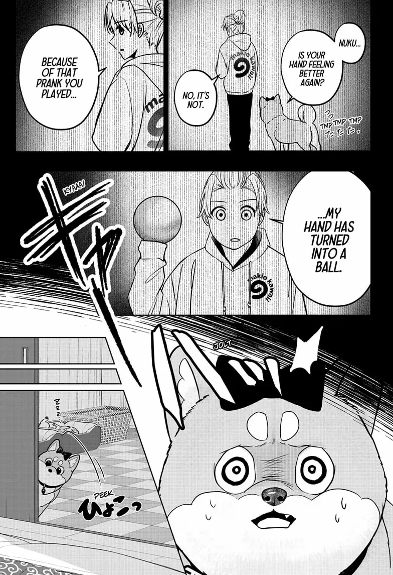 Shiba Inu Rooms Chapter 33 page 19 - 