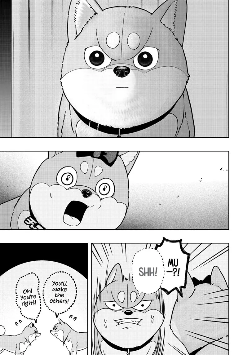 Shiba Inu Rooms Chapter 33 page 21 - 