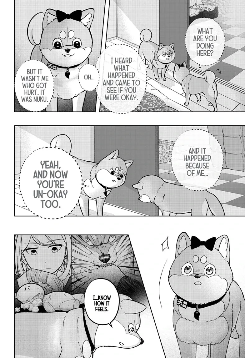 Shiba Inu Rooms Chapter 33 page 22 - 