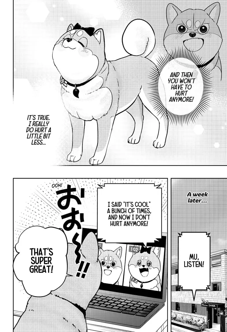 Shiba Inu Rooms Chapter 33 page 32 - 