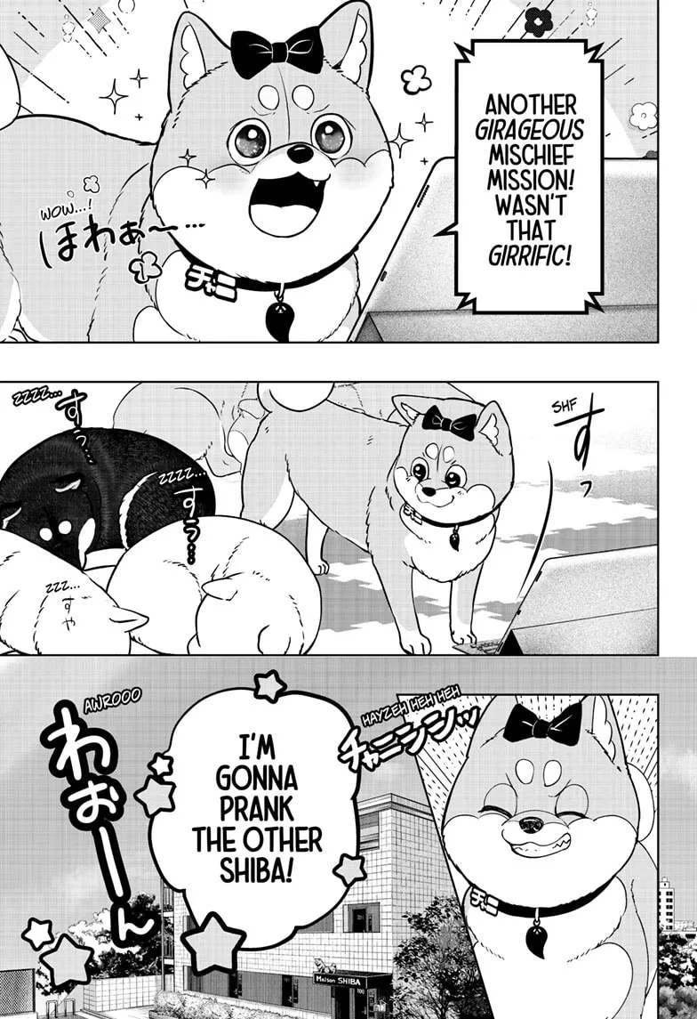 Shiba Inu Rooms Chapter 33 page 5 - 
