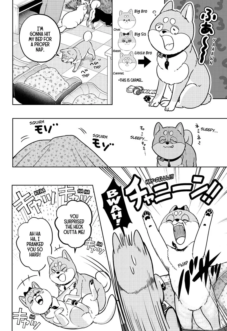 Shiba Inu Rooms Chapter 33 page 6 - 