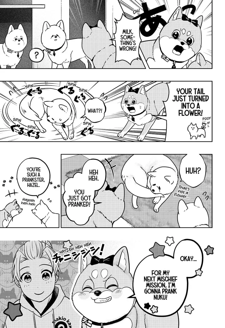 Shiba Inu Rooms Chapter 33 page 7 - 