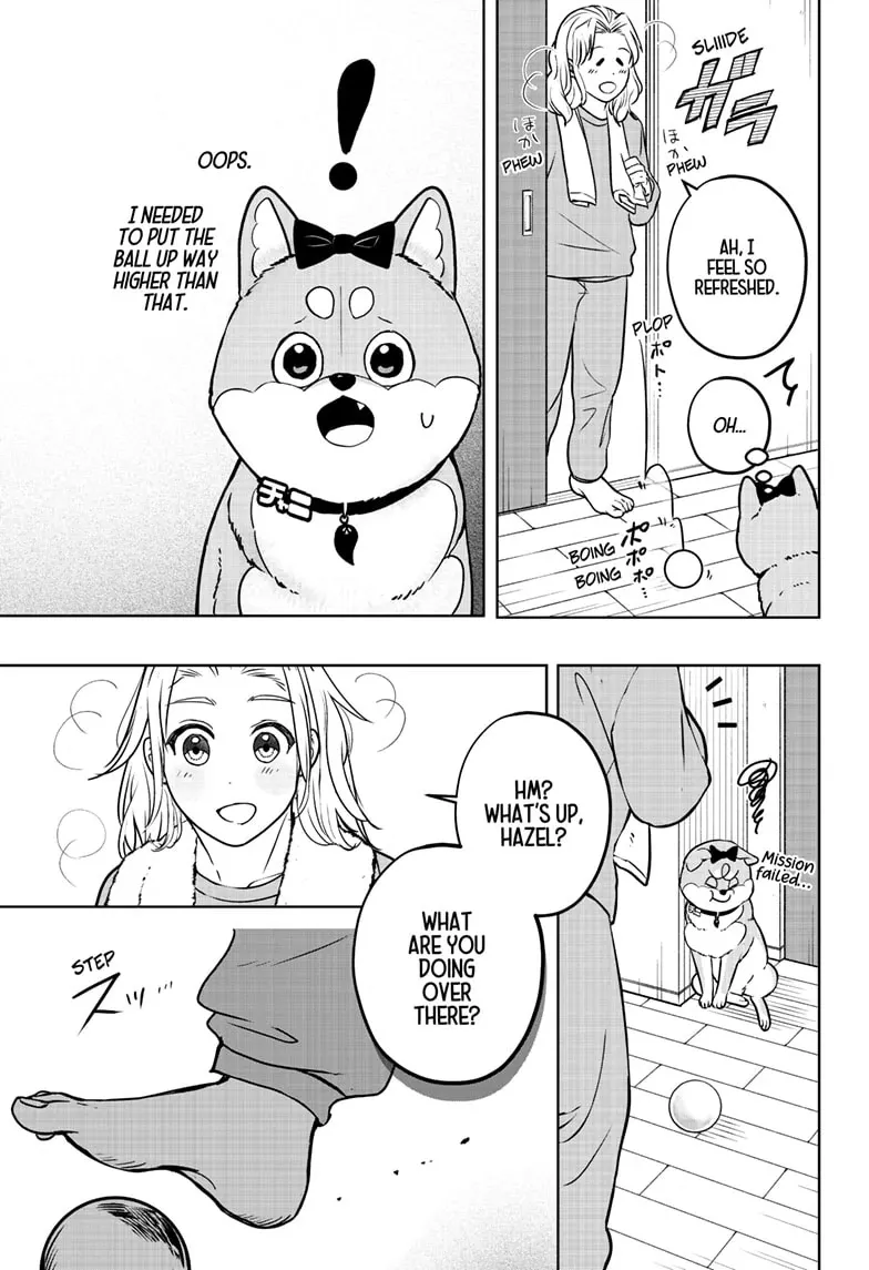 Shiba Inu Rooms Chapter 33 page 9 - 