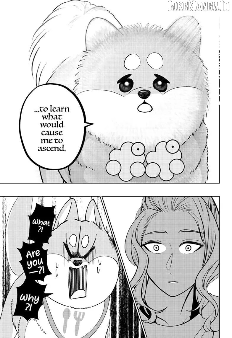 Shiba Inu Rooms Chapter 34 page 13 - 
