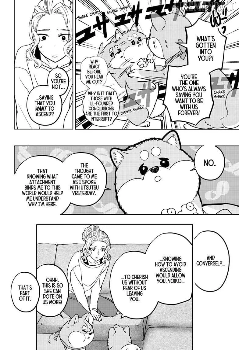 Shiba Inu Rooms Chapter 34 page 14 - 