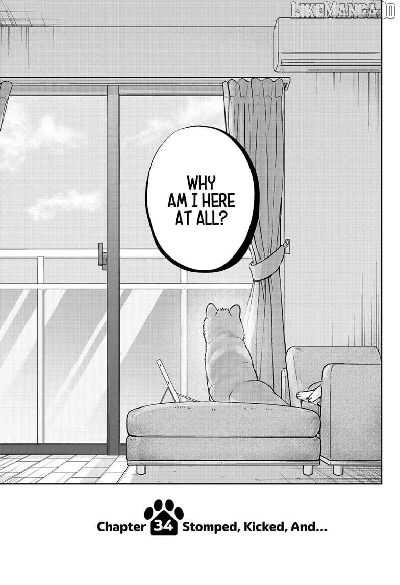 Shiba Inu Rooms Chapter 34 page 3 - 