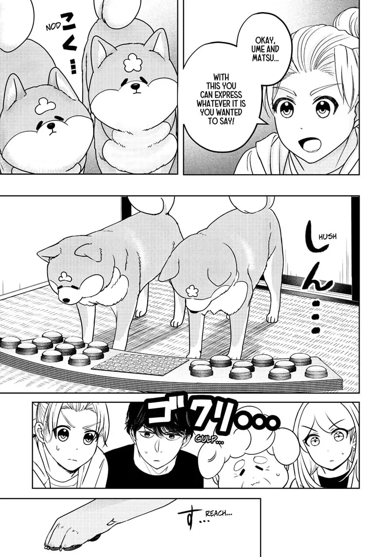 Shiba Inu Rooms Chapter 35 page 12 - 