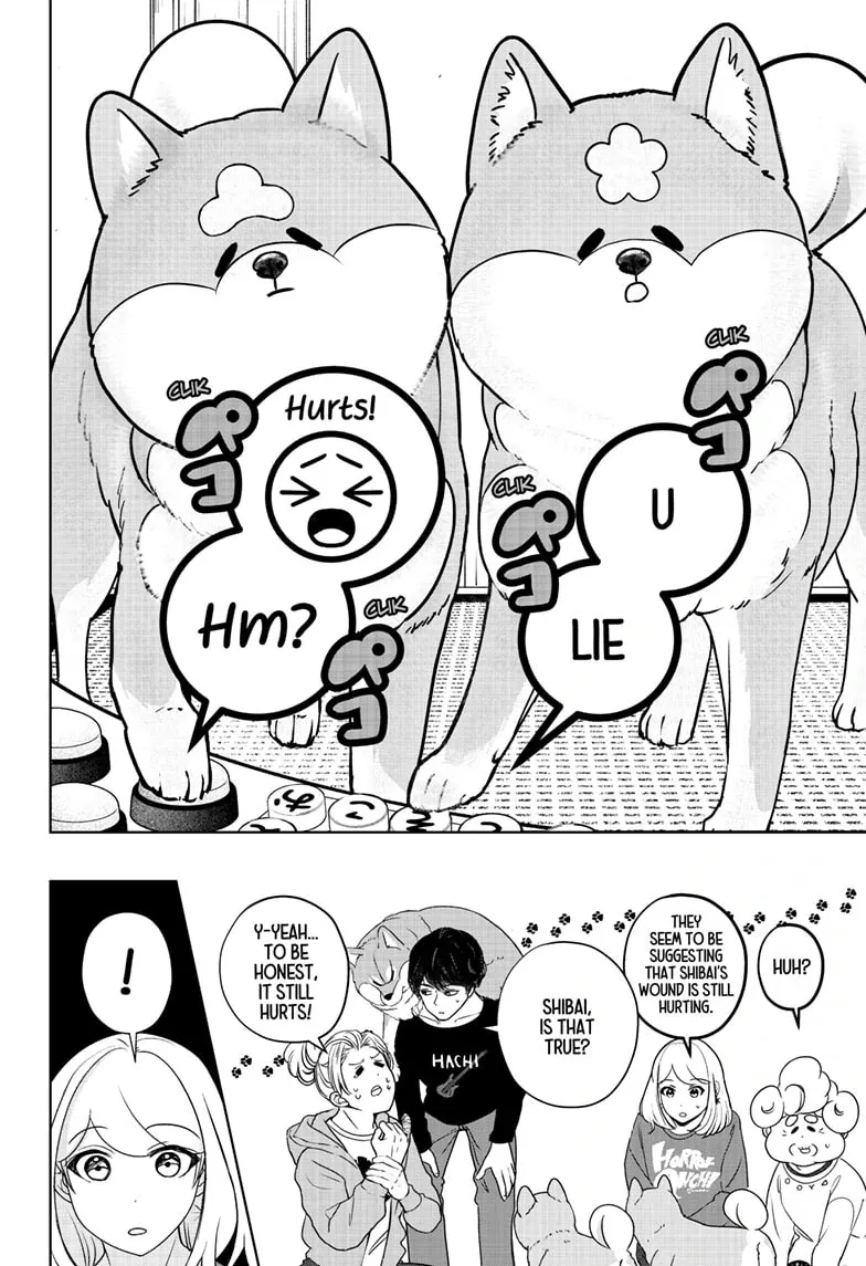 Shiba Inu Rooms Chapter 35 page 21 - 