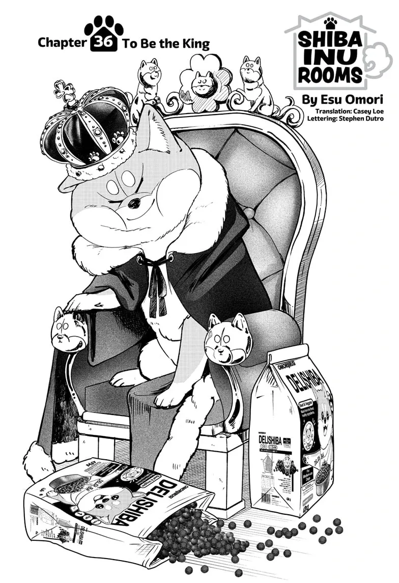 Shiba Inu Rooms Chapter 36 page 1 - 