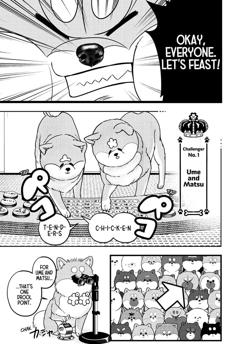 Shiba Inu Rooms Chapter 36 page 11 - 