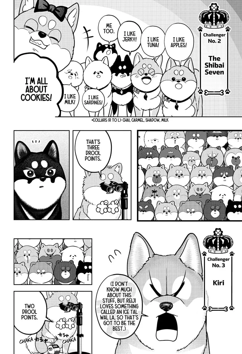 Shiba Inu Rooms Chapter 36 page 12 - 