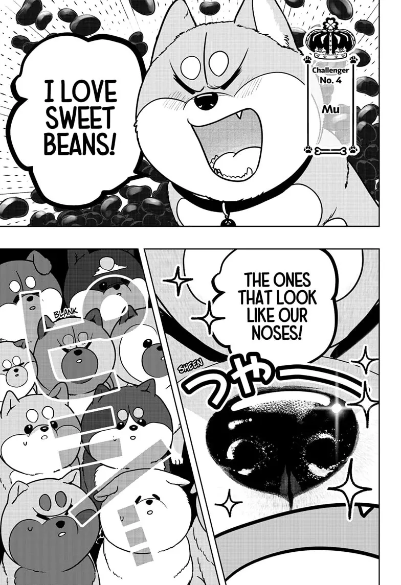 Shiba Inu Rooms Chapter 36 page 13 - 