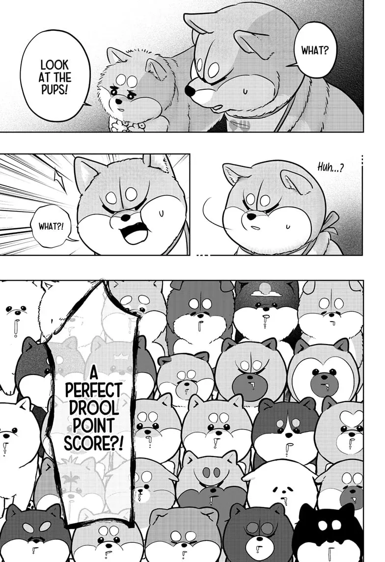 Shiba Inu Rooms Chapter 36 page 17 - 