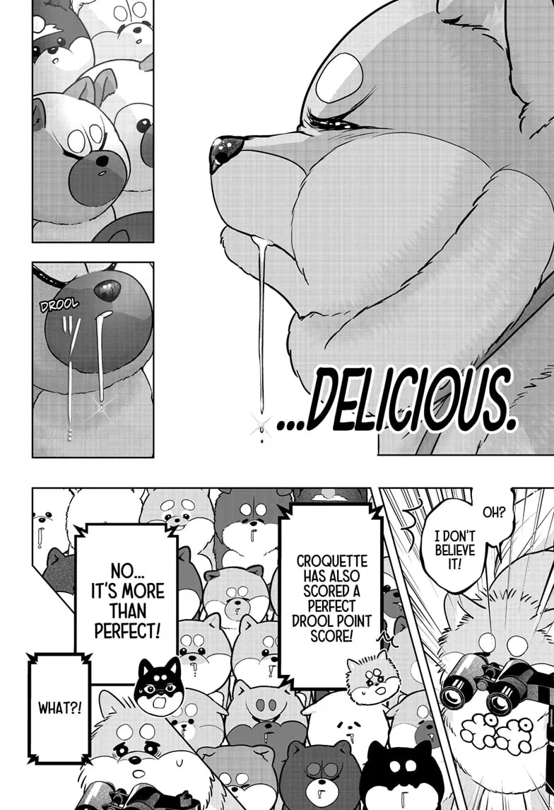 Shiba Inu Rooms Chapter 36 page 22 - 