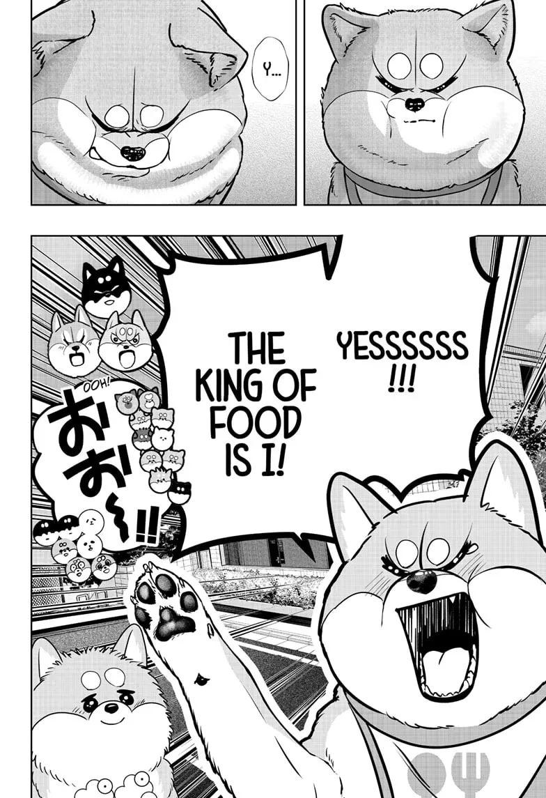 Shiba Inu Rooms Chapter 36 page 24 - 