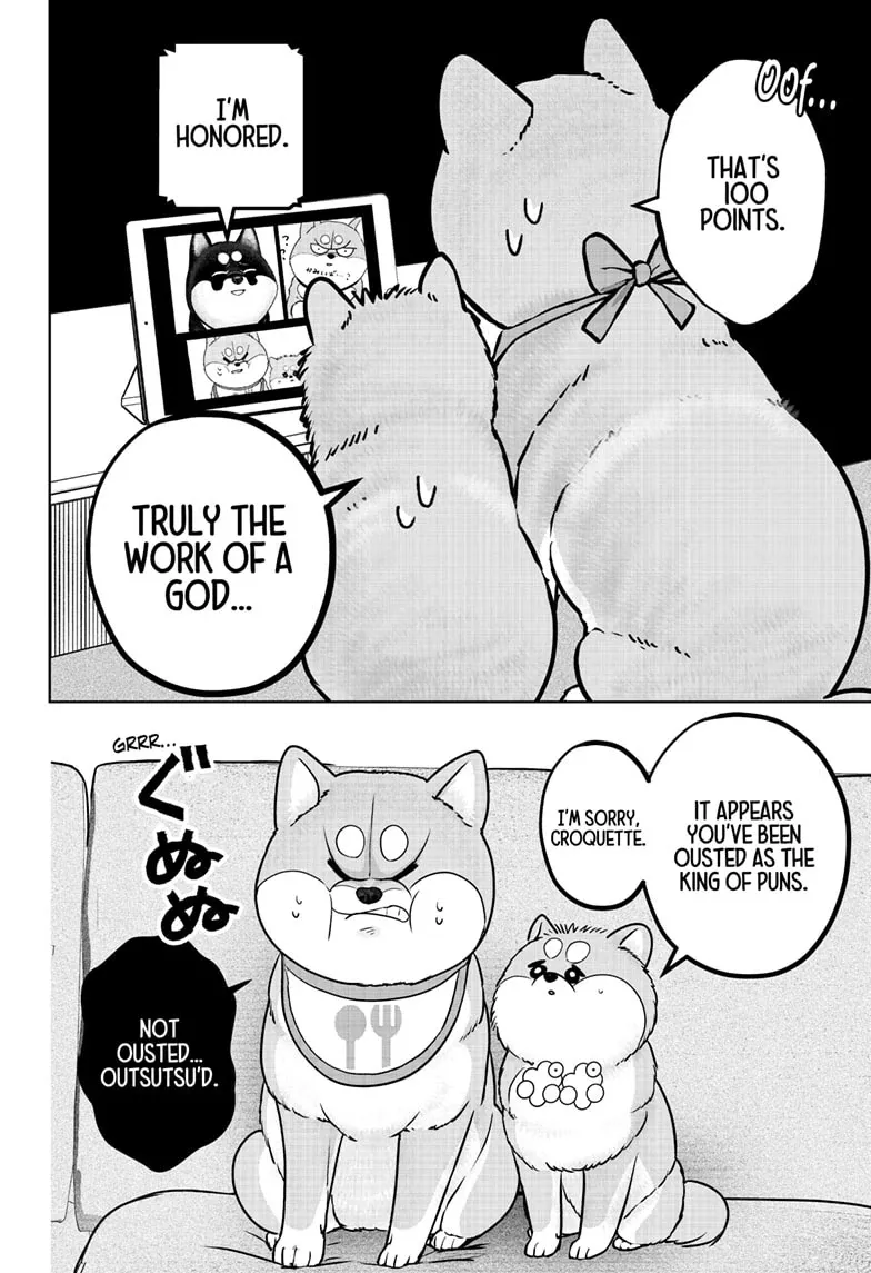Shiba Inu Rooms Chapter 36 page 8 - 