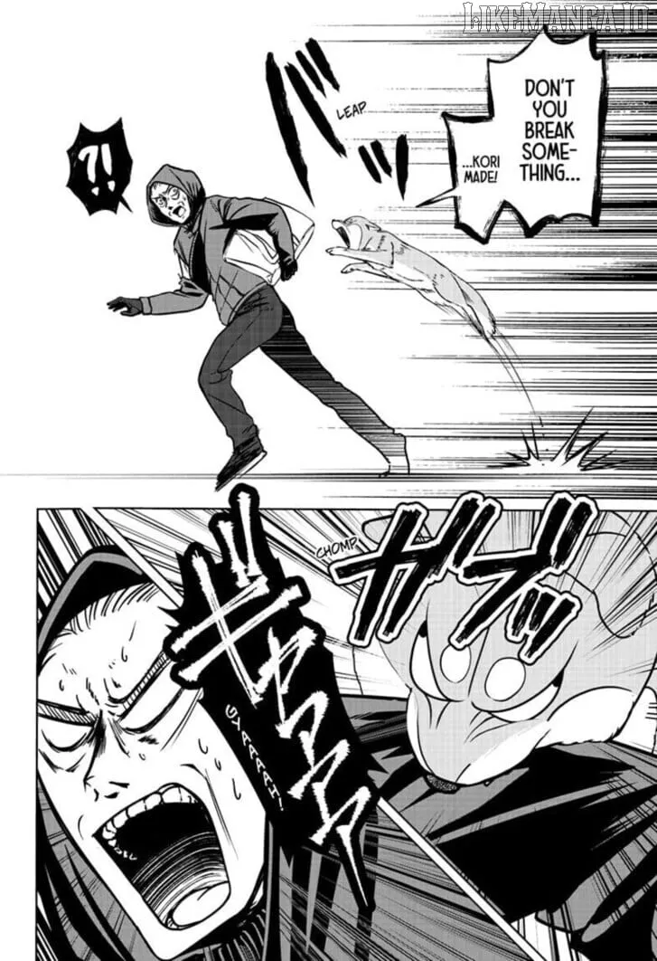 Shiba Inu Rooms Chapter 37 page 24 - 