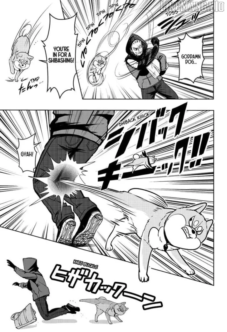 Shiba Inu Rooms Chapter 37 page 25 - 