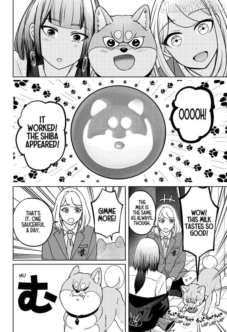 Shiba Inu Rooms Chapter 38 page 12 - 