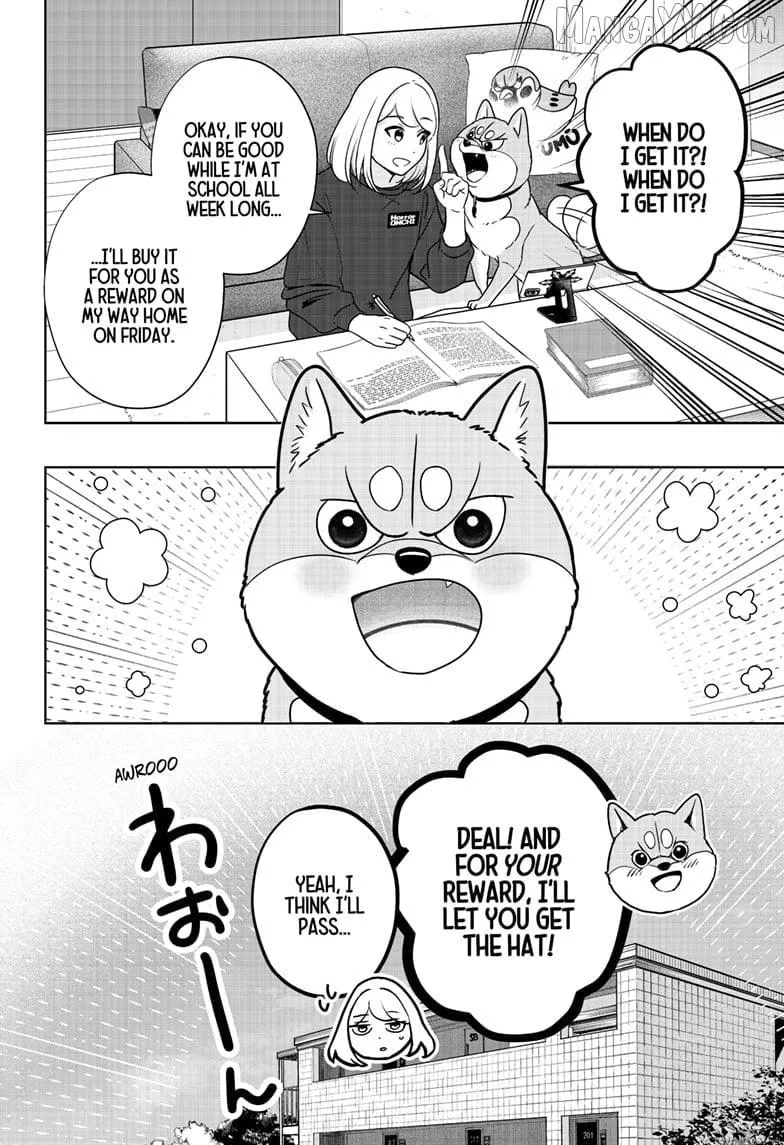 Shiba Inu Rooms Chapter 38 page 4 - 