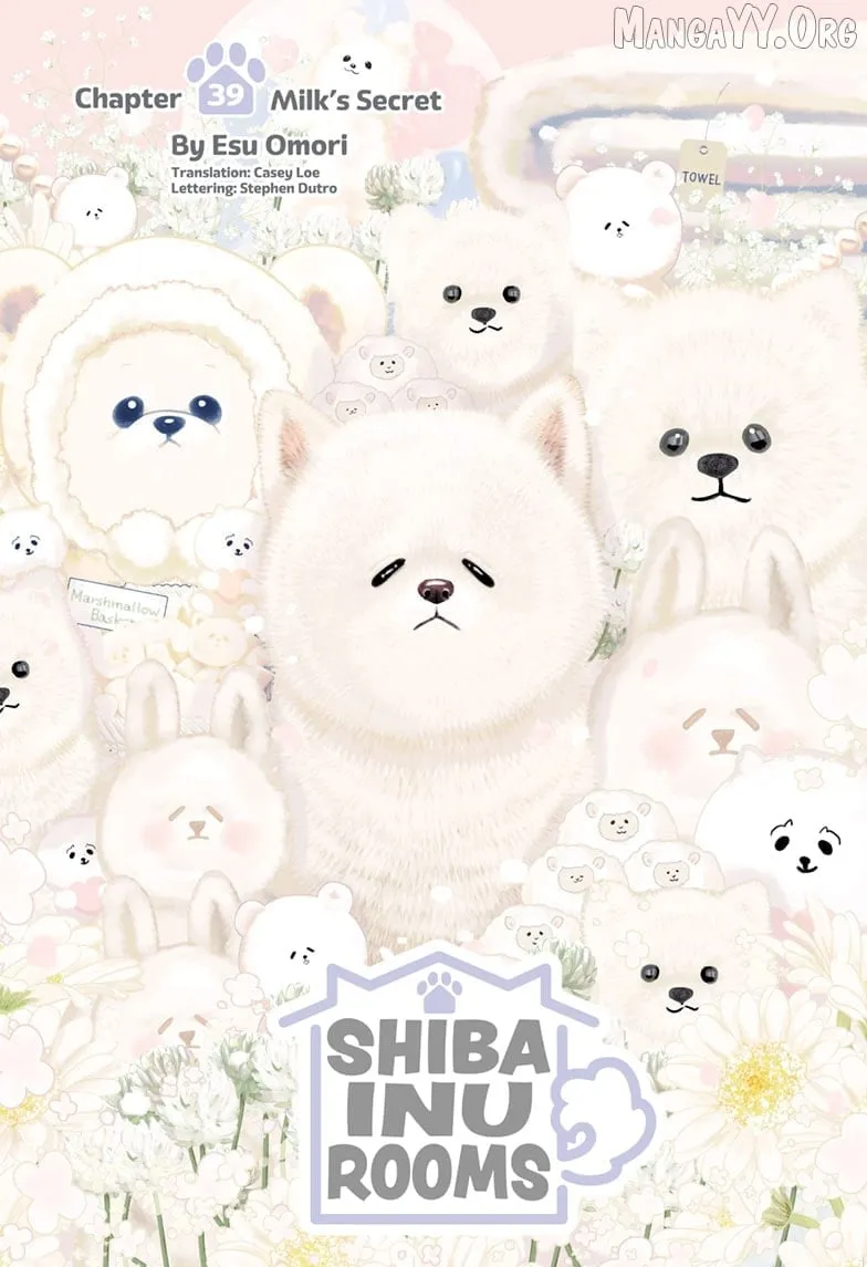 Shiba Inu Rooms Chapter 39 page 2 - 