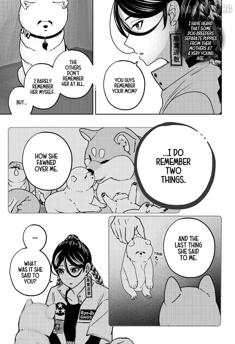 Shiba Inu Rooms Chapter 39 page 20 - 