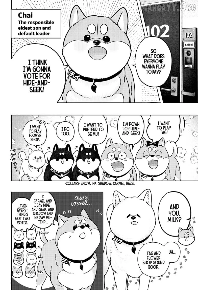 Shiba Inu Rooms Chapter 39 page 3 - 