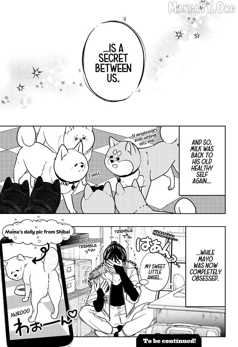 Shiba Inu Rooms Chapter 39 page 32 - 