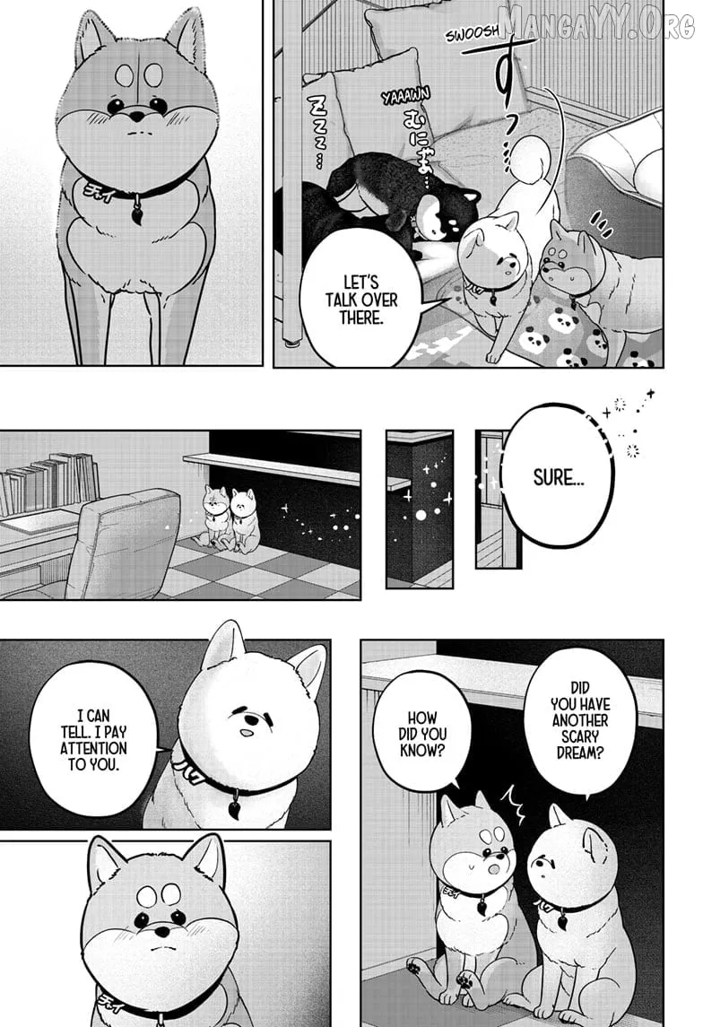 Shiba Inu Rooms Chapter 39 page 6 - 