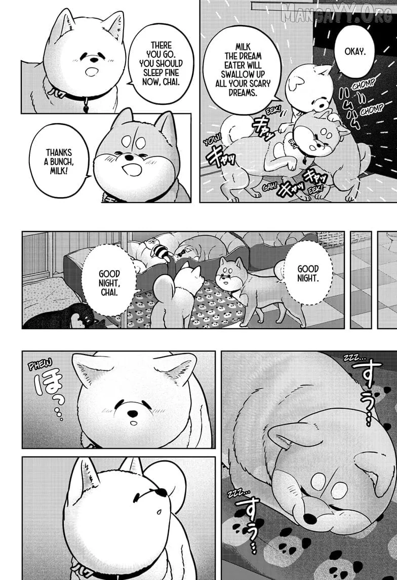 Shiba Inu Rooms Chapter 39 page 7 - 
