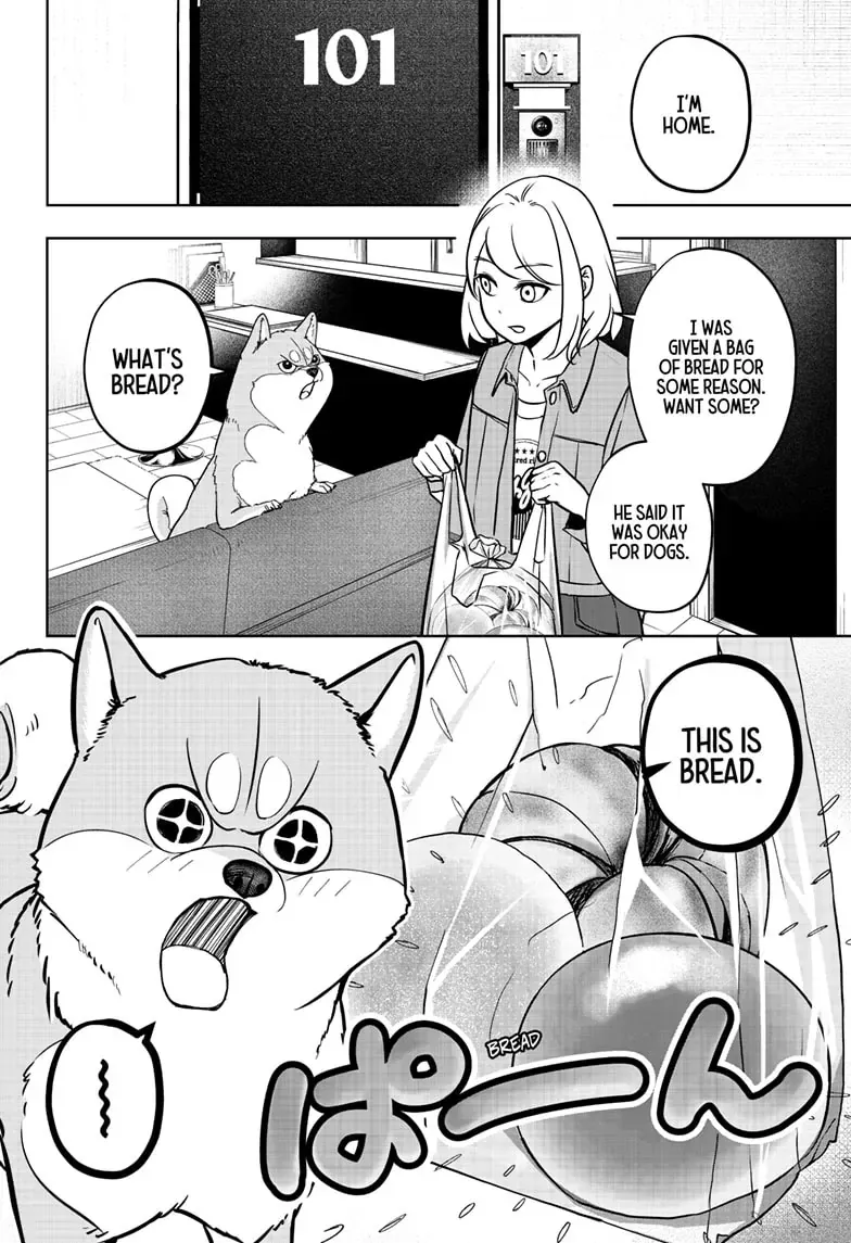 Shiba Inu Rooms Chapter 4 page 13 - 