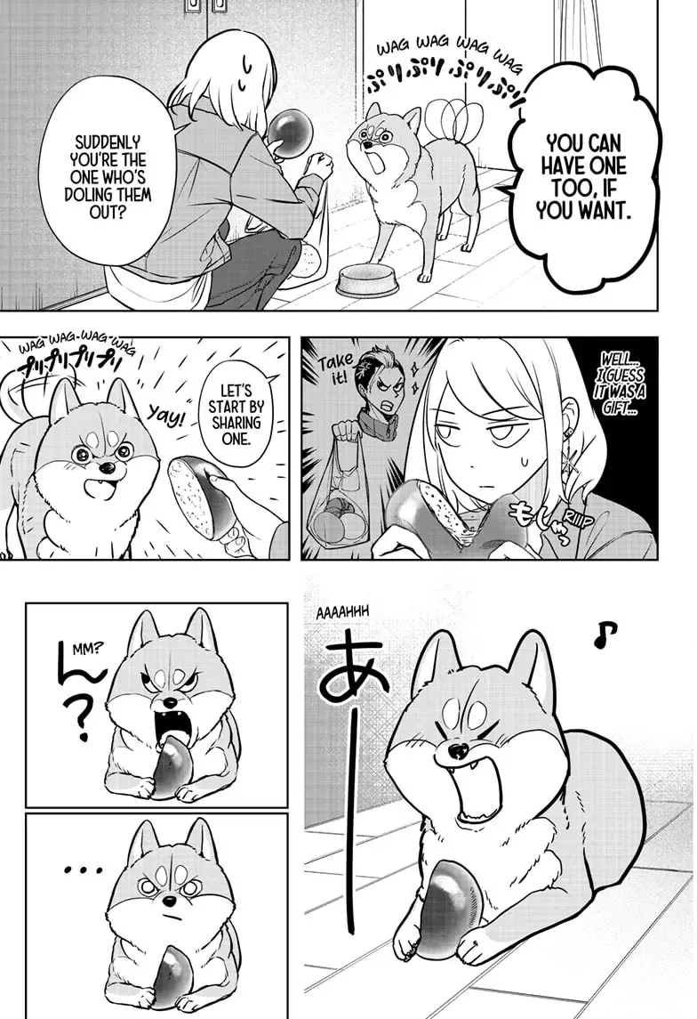 Shiba Inu Rooms Chapter 4 page 14 - 