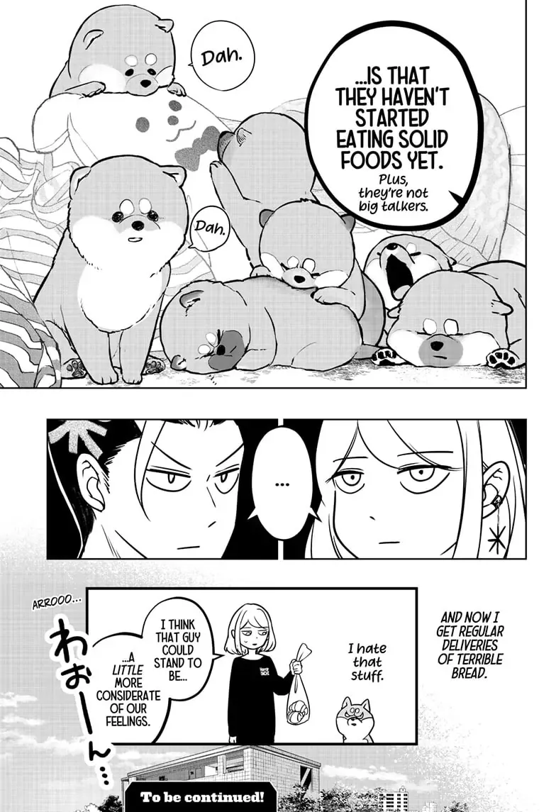 Shiba Inu Rooms Chapter 4 page 30 - 
