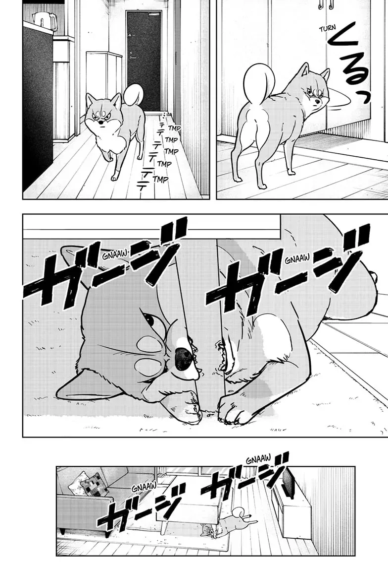 Shiba Inu Rooms Chapter 4 page 5 - 