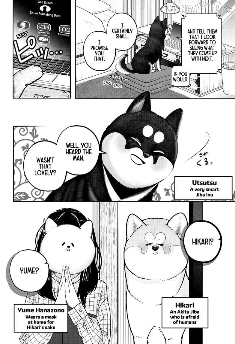 Shiba Inu Rooms Chapter 40 page 2 - 